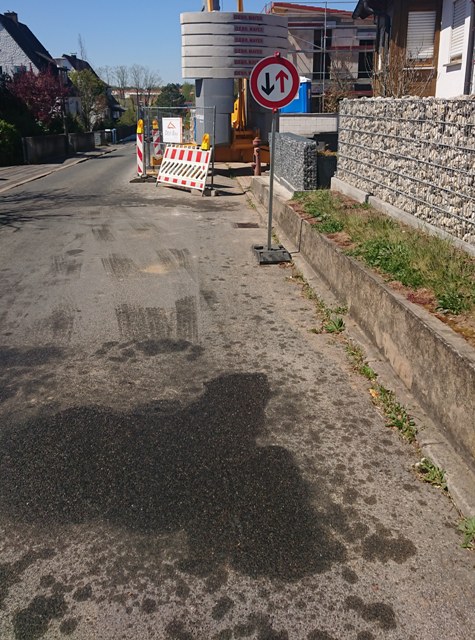 DSC_1729 zugeschnitten groß.jpg